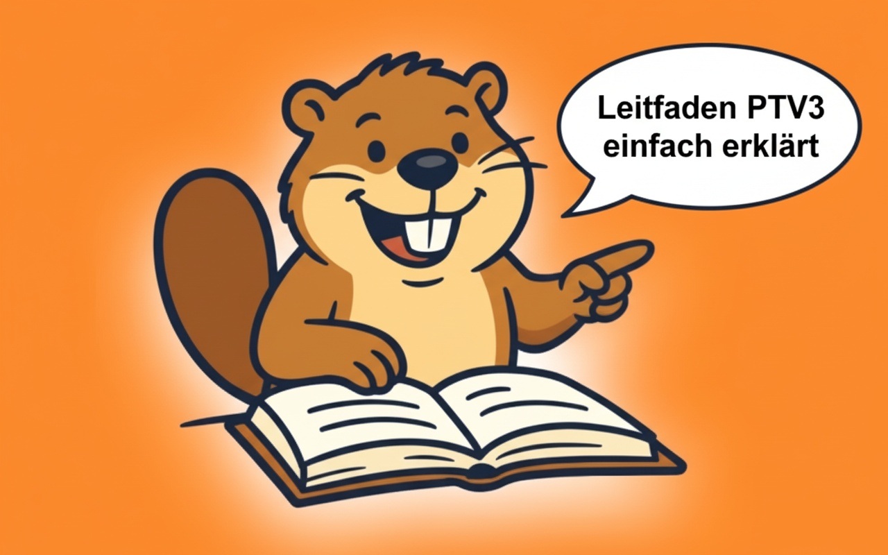 Leitfaden PTV3 (inklusive Leitfaden PDF)